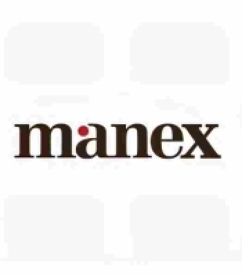 Profile picture of Manex Consulting