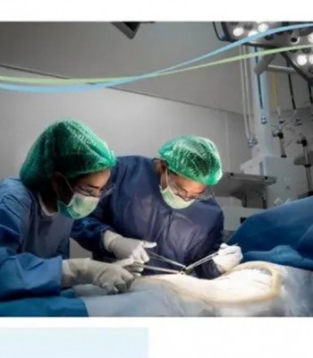 Profile picture of general gynaecology