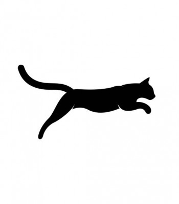 Profile picture of Rhys Ward