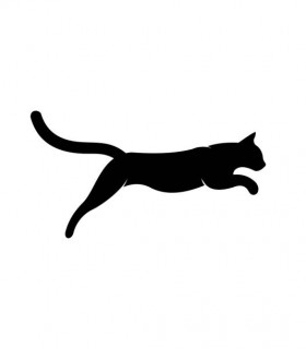 Profile picture of Rhys Ward