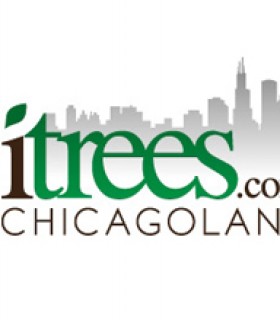 Profile picture of iTrees