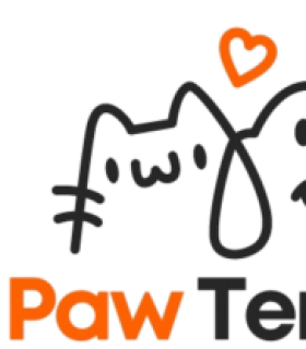 Profile picture of Pawtenant Emotional Support